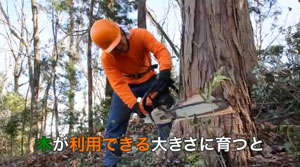 映像作品画面