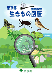 パンフレットの表紙画像