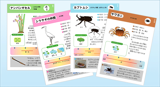 パンフレット内面のサンプル画像
